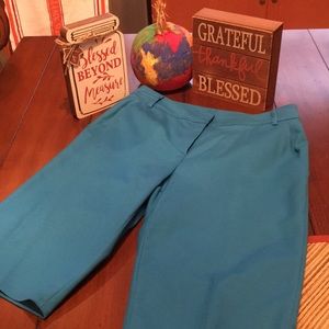 Brand New St. John Shorts: Size 4